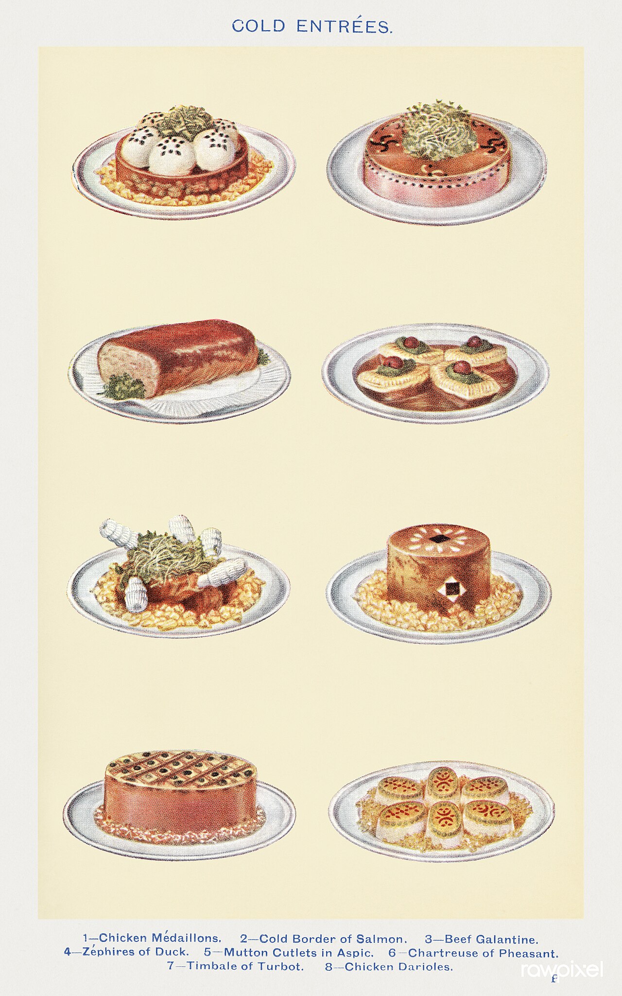 アスピックの料理写真 3