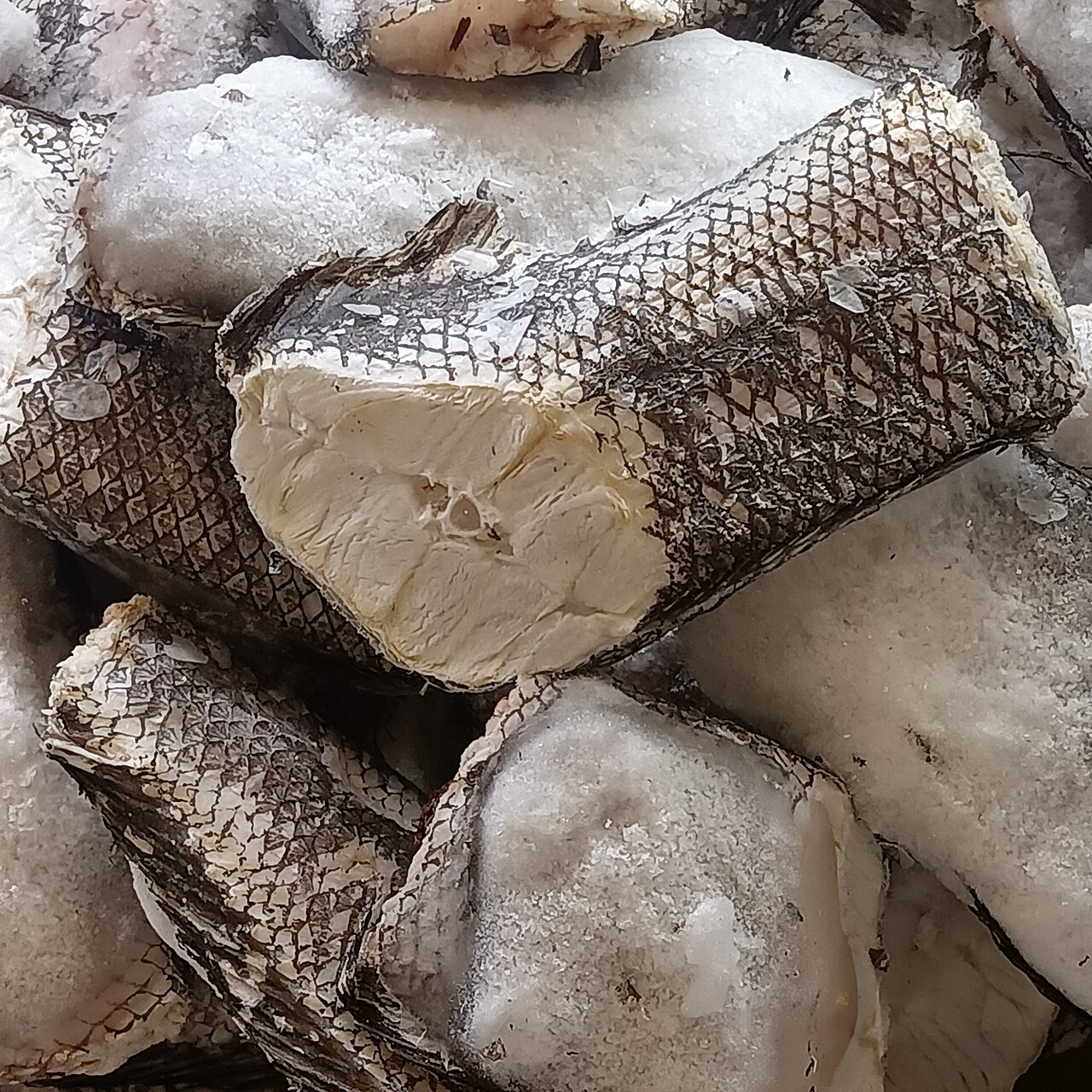 バカラオの料理写真 3