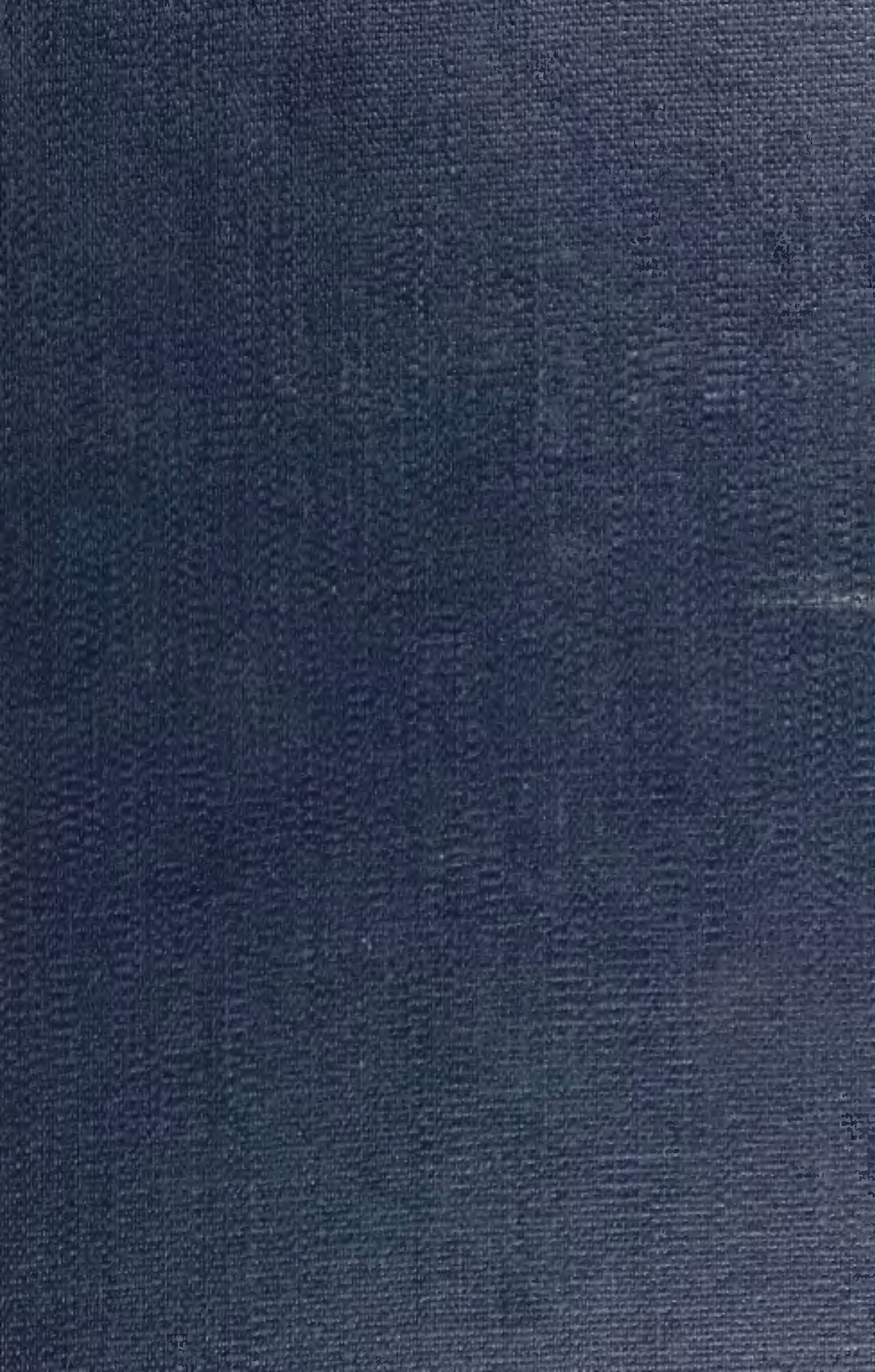 爆炒泥鰍