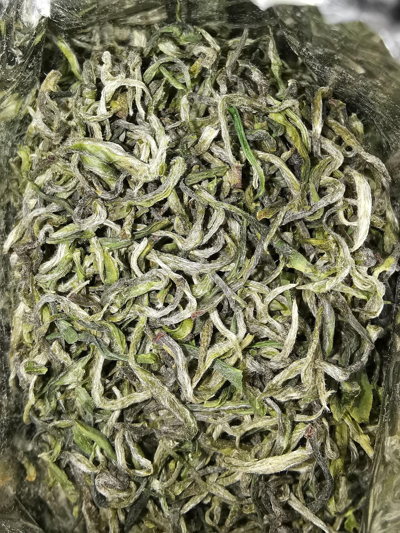 碧螺春の料理写真 2