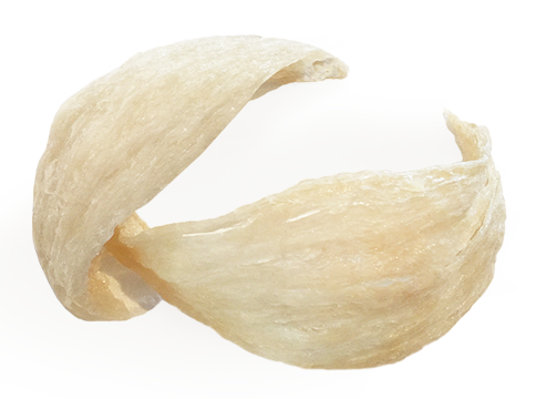 燕の巣スープ