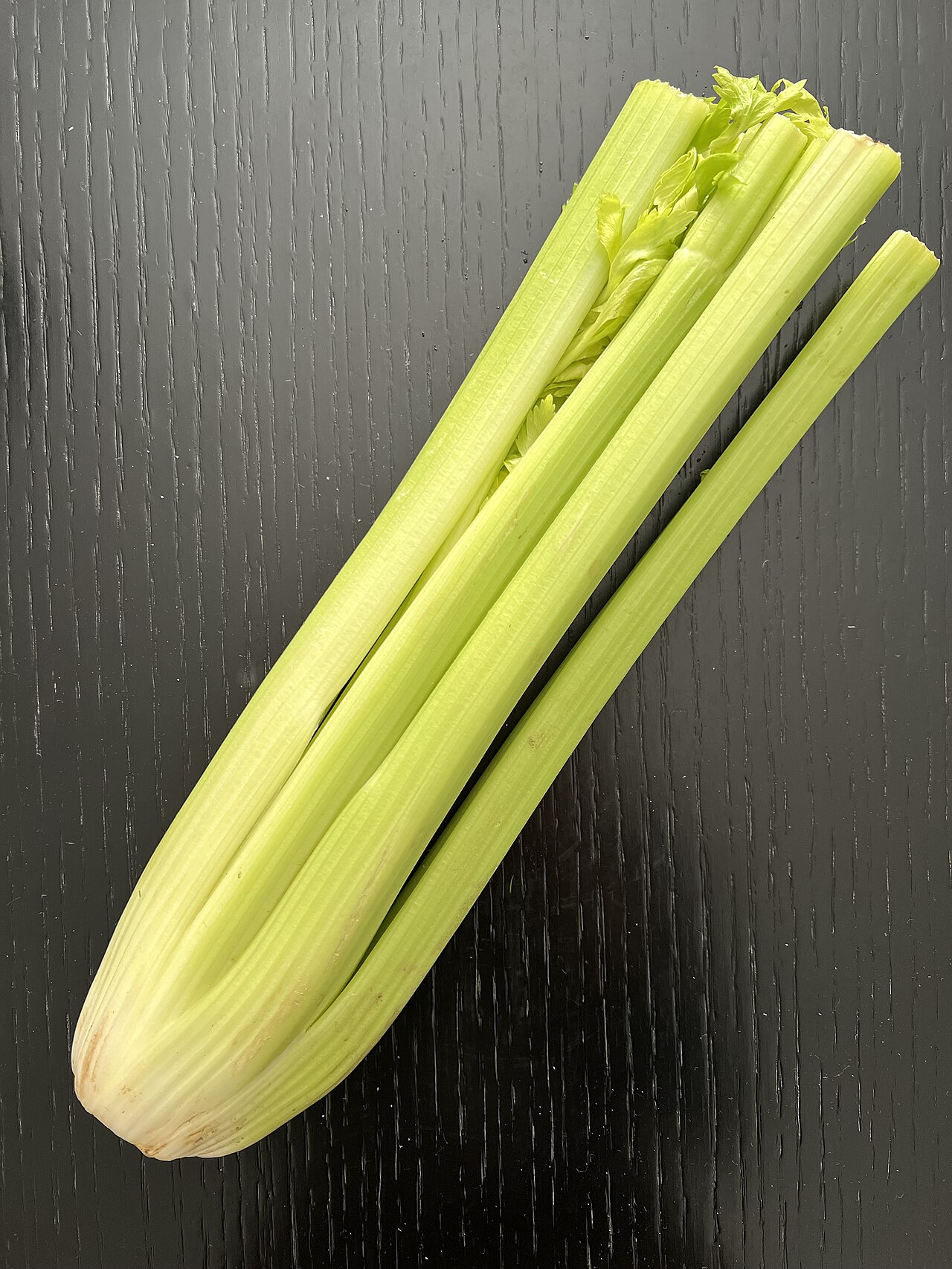 セロリ 3