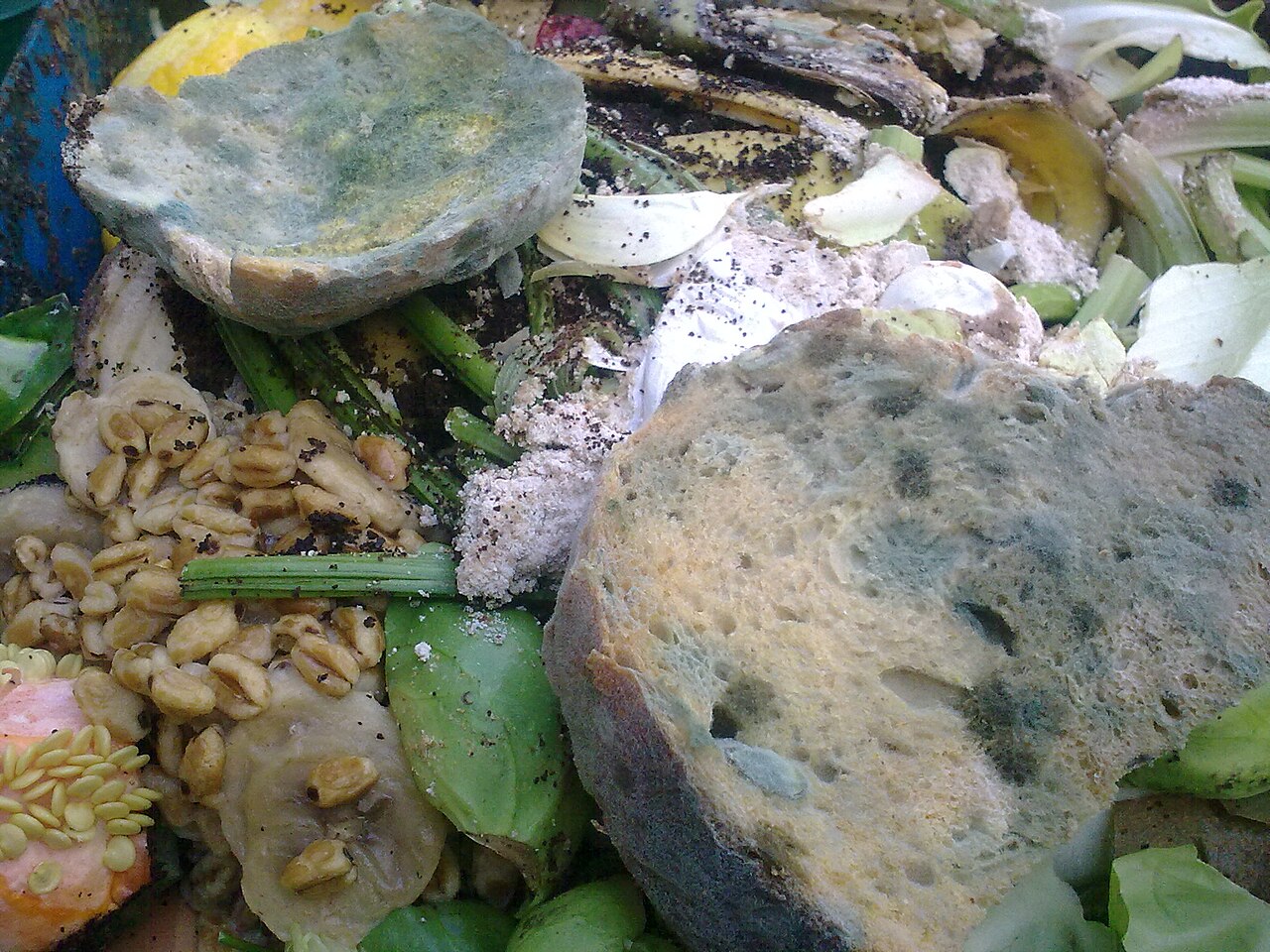 チェーの料理写真 3