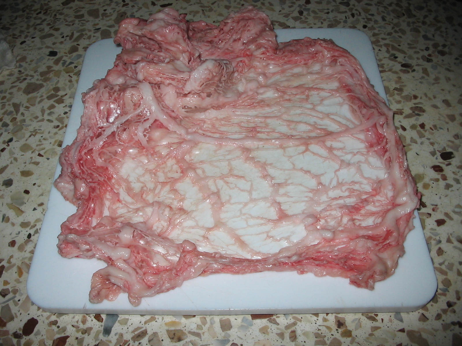 クレピーヌの料理写真
