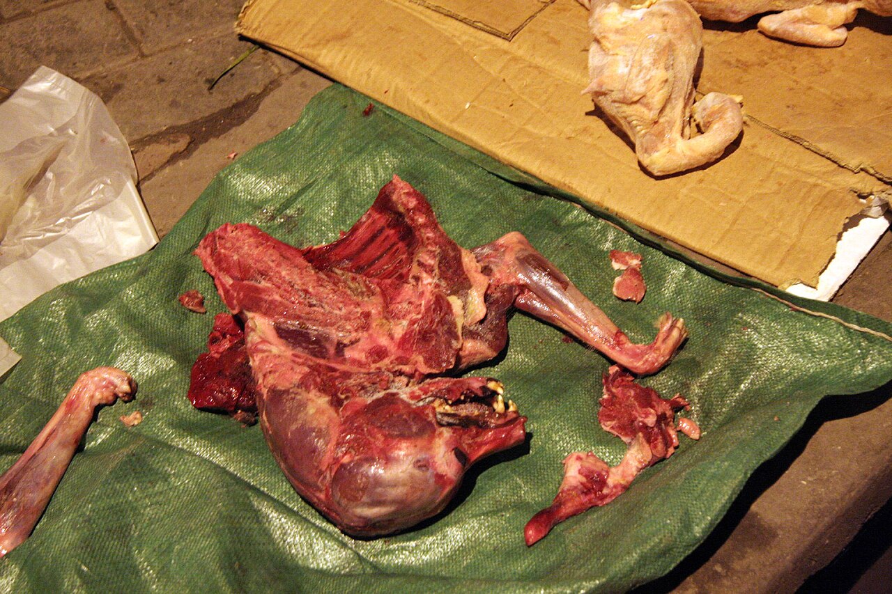 狗肉の料理写真 2
