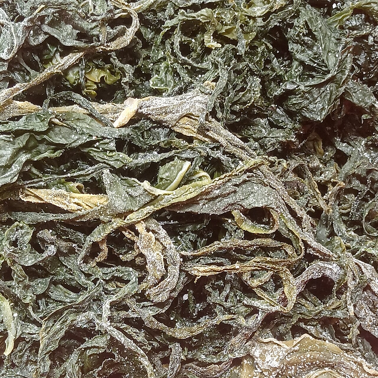 塩蔵ワカメ