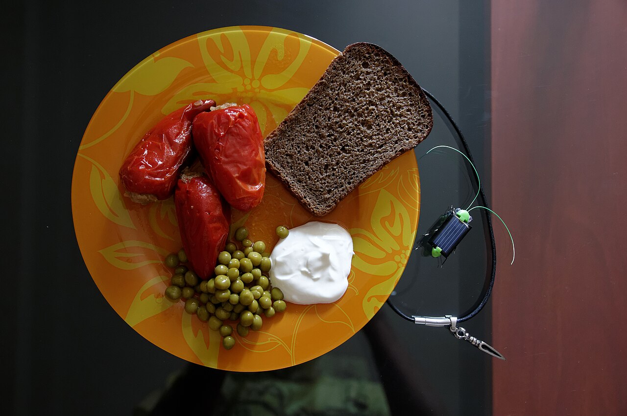 ファルシの料理写真 3