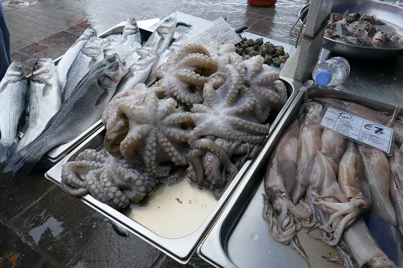タコの料理写真 2