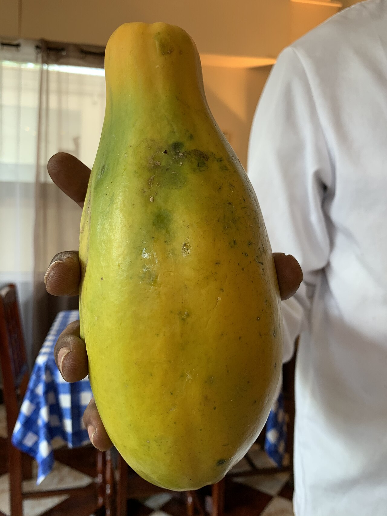 キャトル・エピスの料理写真 3