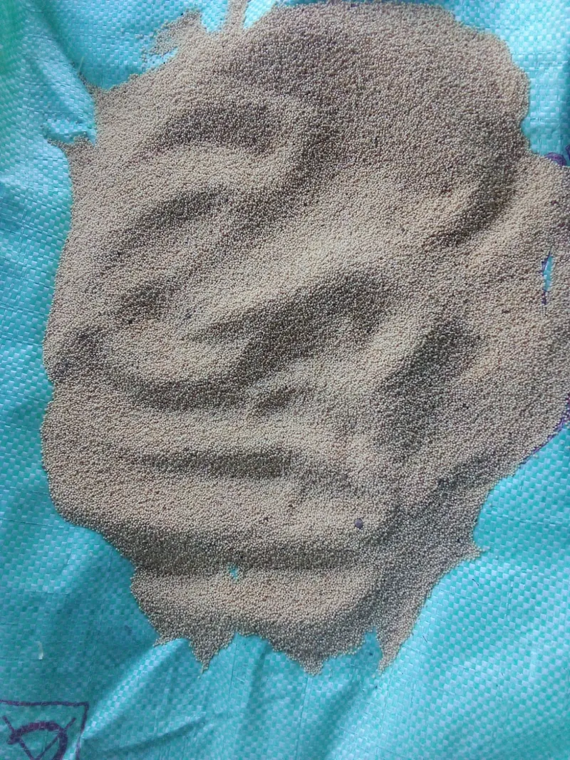キヌアの料理写真 3