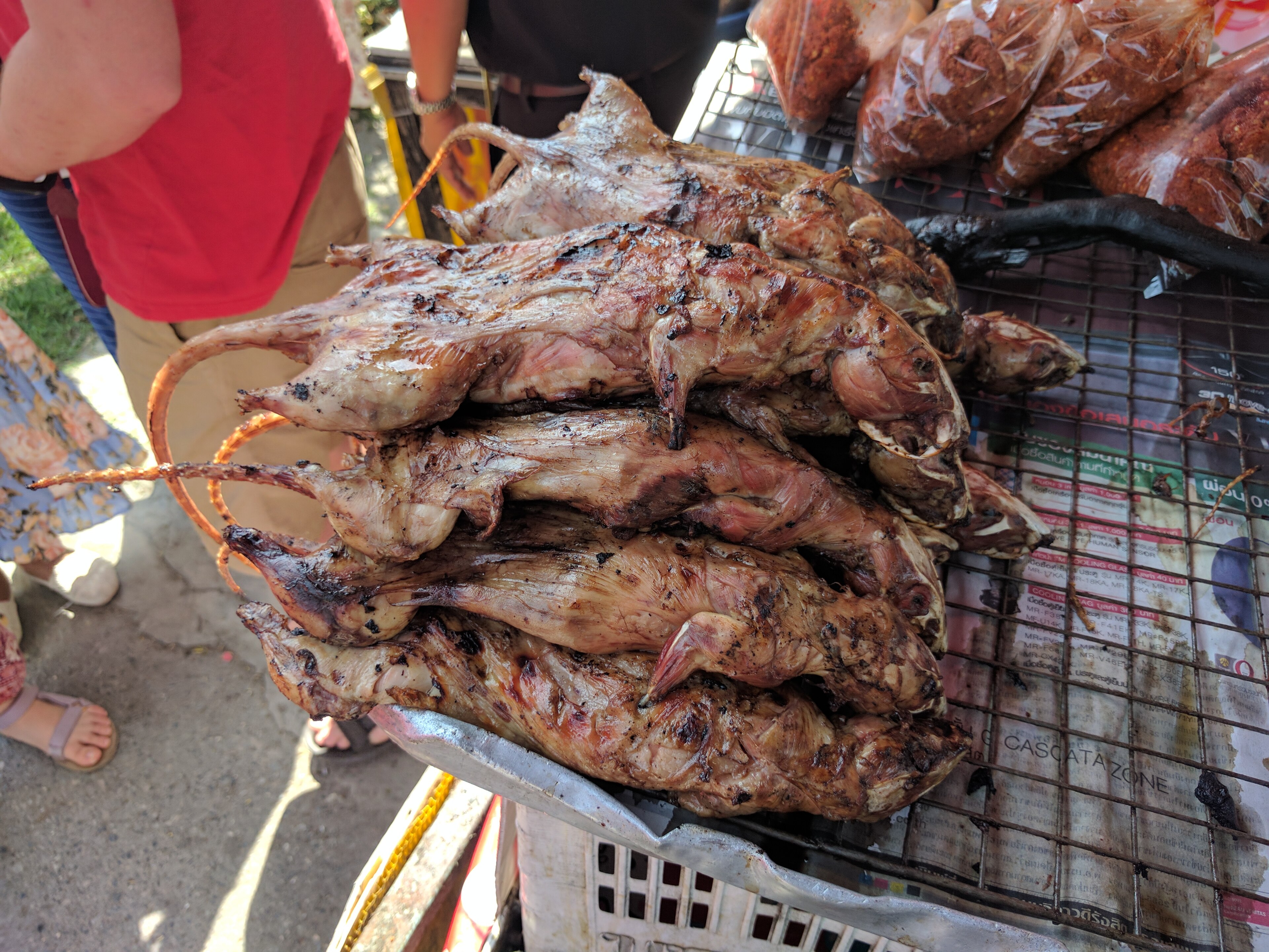 老鼠肉の料理写真