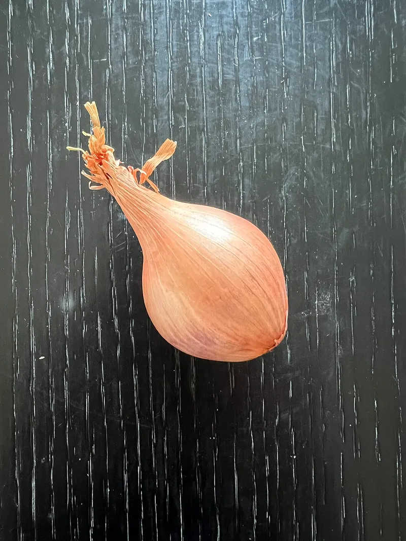 エシャロットの料理写真 2