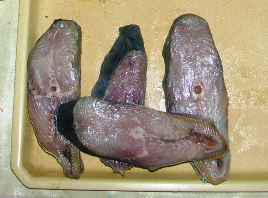 しめさばの料理写真 2