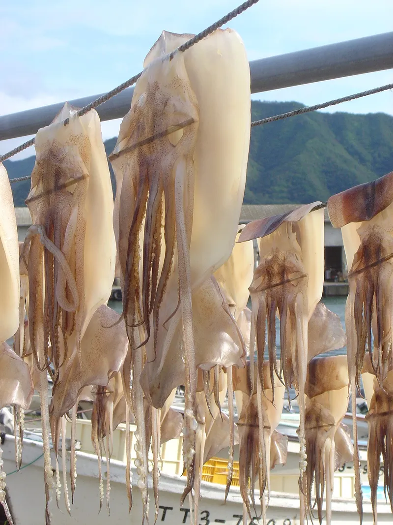 イカの料理写真 2