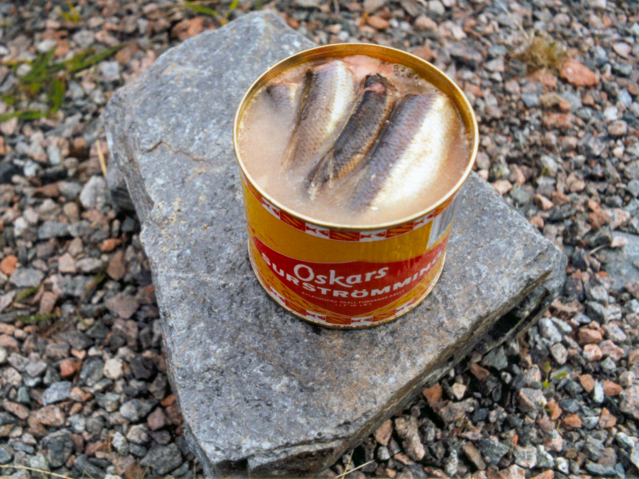 シュールストレミングの料理写真