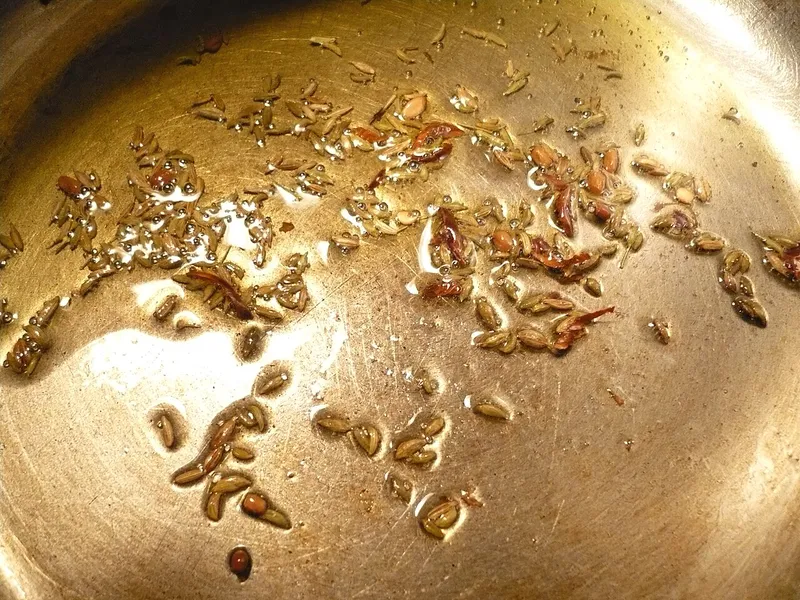 テンパリングの料理写真 3