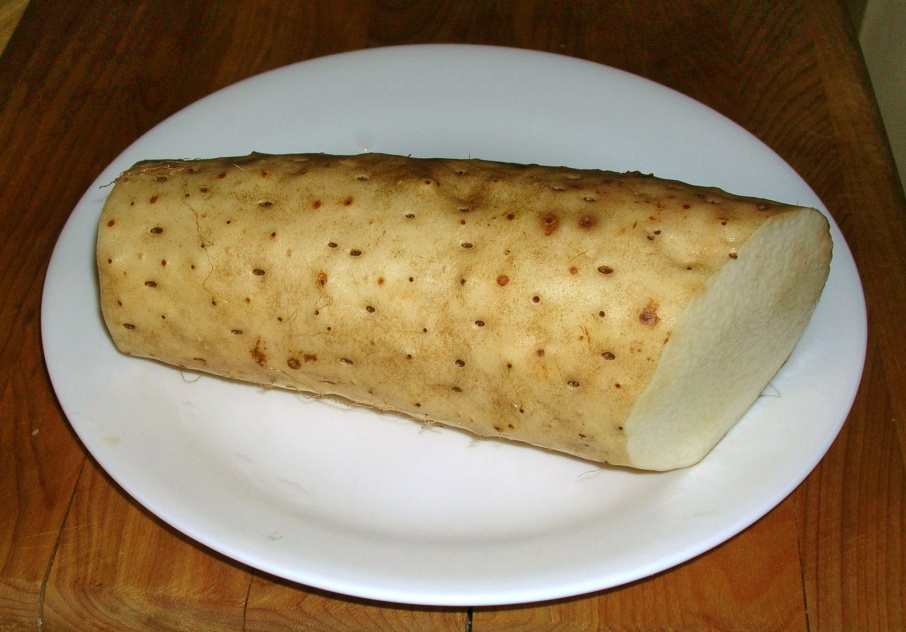 とろろの料理写真 2
