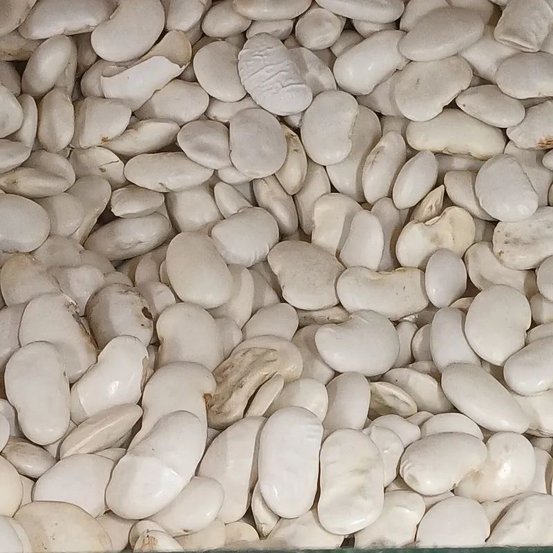 白いんげん豆の料理写真 3