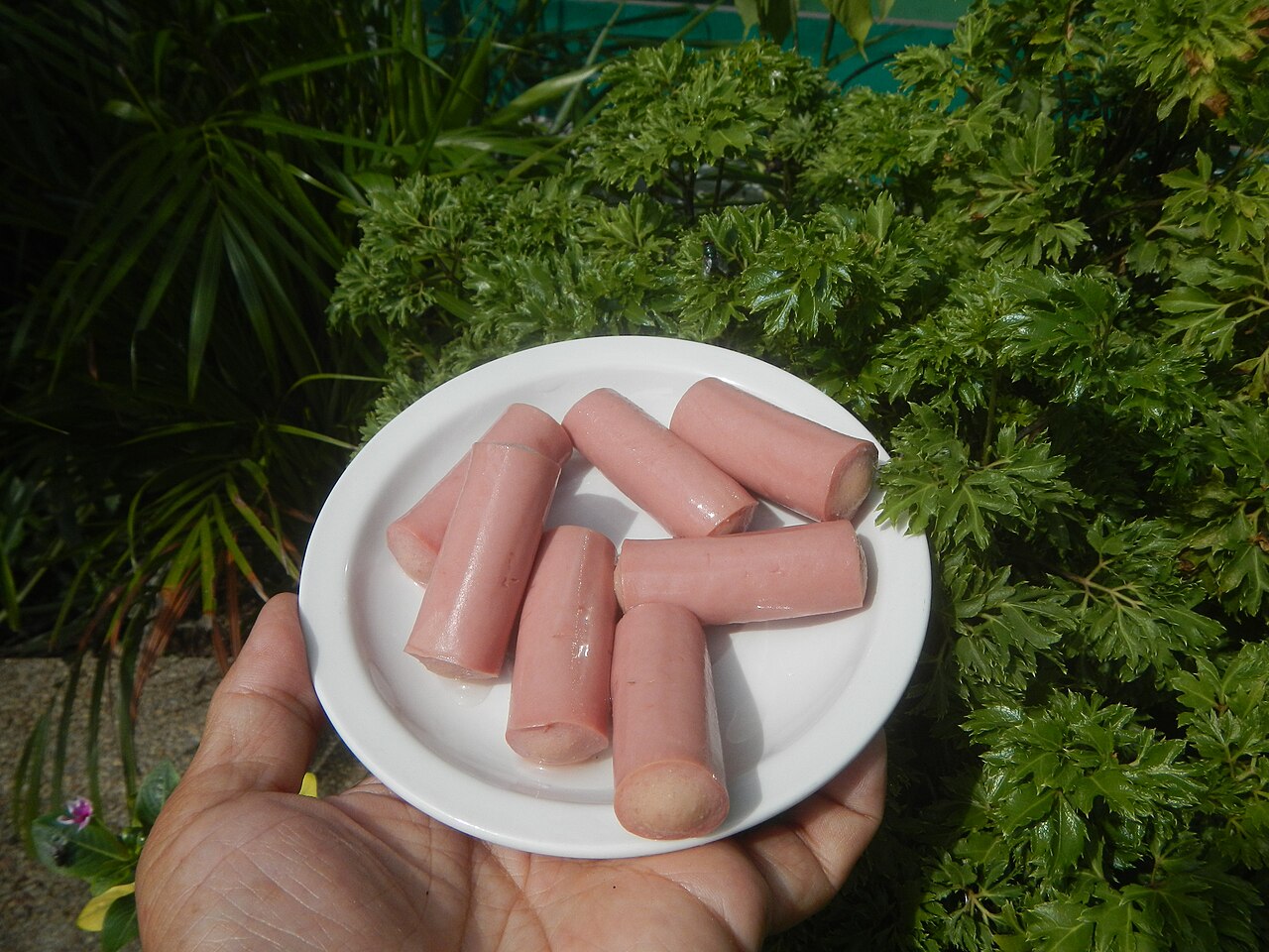 ウインナーの料理写真 2